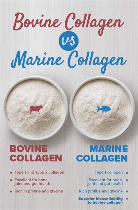 hydrolyzed fish collagen|Hydrolyzed Fish Collagen: Benefits and Uses .